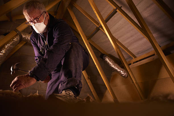  Bayboro, NC Insulation Contractor Pros